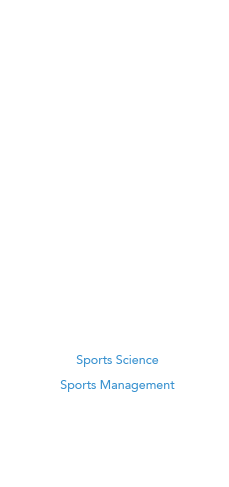marco mittermeir